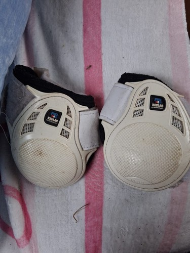 Premier equine fetlock - equine,