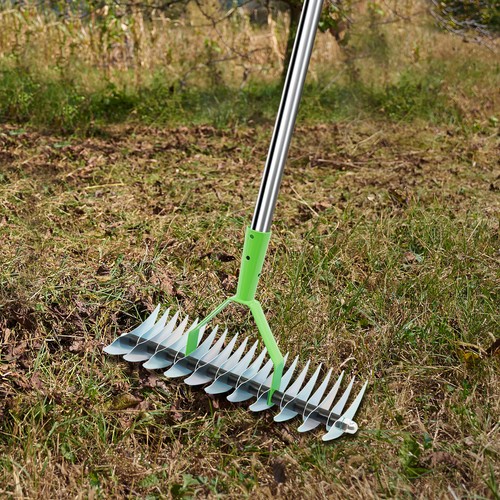 Thatch rake head tines - thatch,