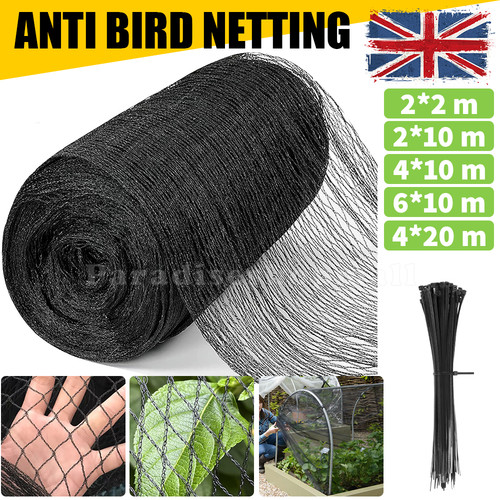 Anti bird netting 10m - netting, 6m