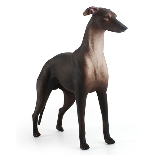 Scale realistic greyhound - scale,