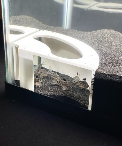 Aquarium underground corner - underground,