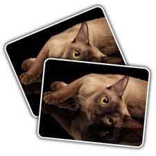 2x Vinyl Sticker Burmese Cat