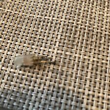 Cobra 148 GTL DX Superstar 360