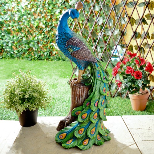 Solar peacock - solar,