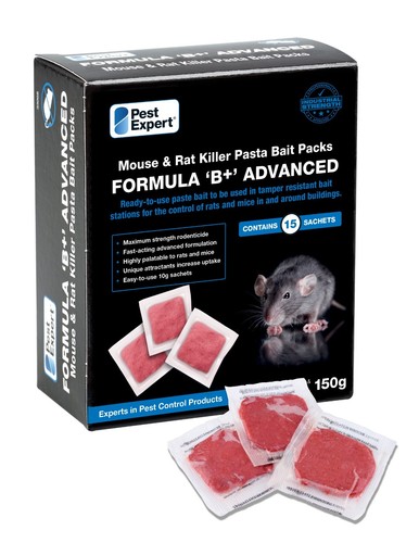 Pest expert rat mouse - rat, killer