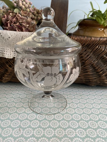 Large glass apothecary bon - ,