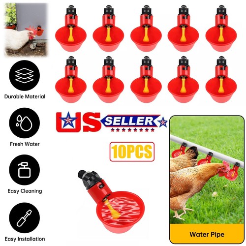 10x poultry water drinking - 10x,