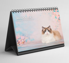 Ragdoll Cat Desk Calendar