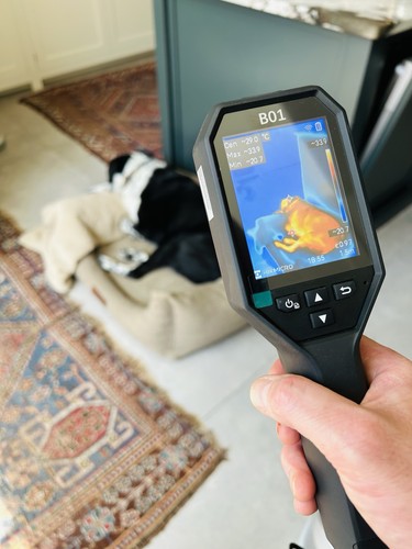 Hikmicro b01 thermal camera - thermal,