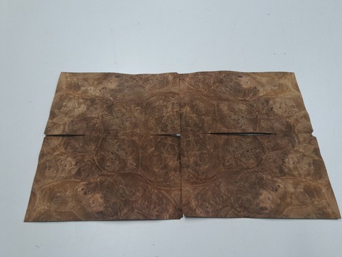 Burr walnut veneer - walnut,
