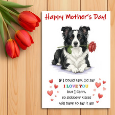Border Collie Mother’s Day