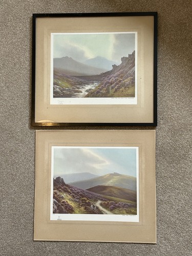 Pair vintage dartmoor - l/e,