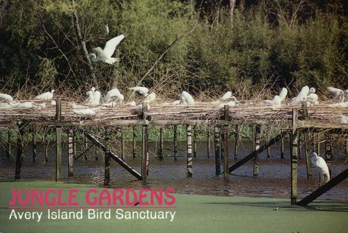 Bird sanctuary avery - sanctuary,,