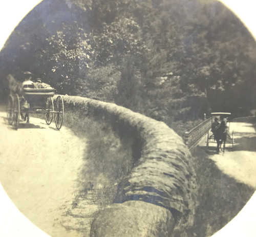 Antique vtg rppc horse - antique,