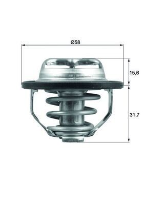 Thermostat coolant mahle - thermostat,,