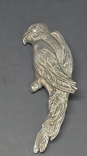 Pewter macaw parrot - macaw, seagull