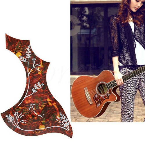 1pcs acoustic guitar - 1pcs,