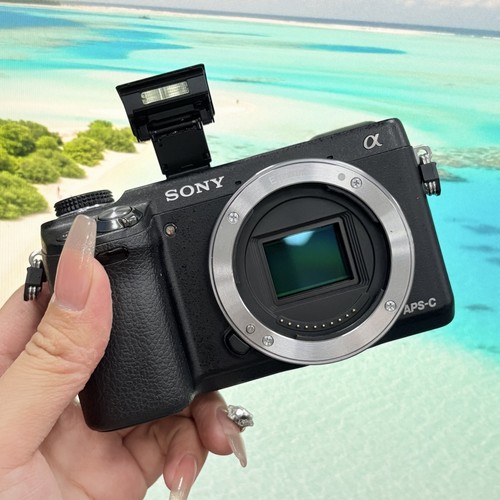 Sony alpha nex 1mp - alpha, 16.1mp