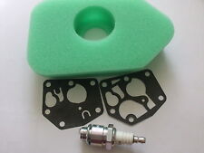 MTD Lawnflite Mower Tune up