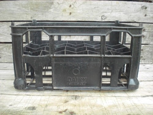 Vintage black plastic dairy - vintage,