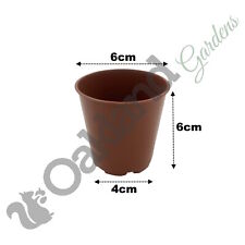 6cm Plant Pots Small Strong Flower Orchid Pot Cactus 2.5" Chilli