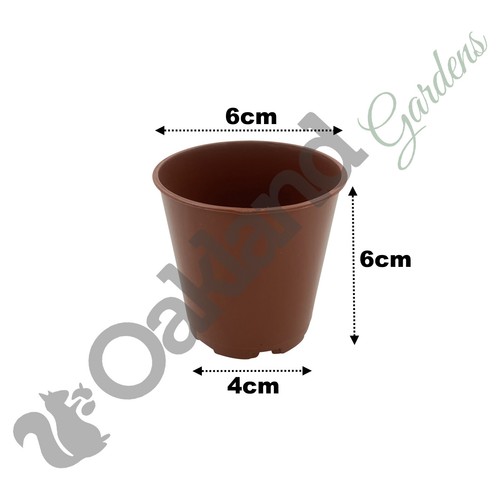 6cm plant pots small - 6cm,