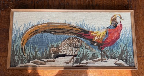 Vintage golden pheasant - vintage,