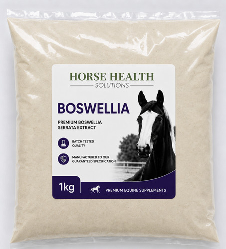 Boswellia serrata powder - boswellia,