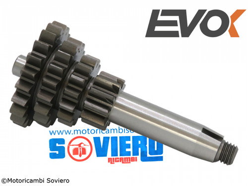 Quadruple gear evok - gear, 3/4