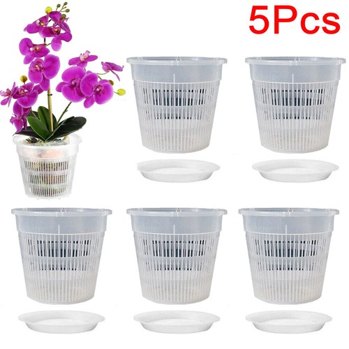 5pcs clear plastic - plastic, pots