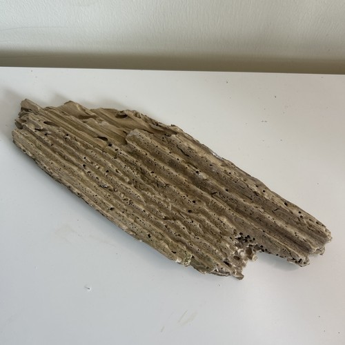 Flat unique driftwood - 1,