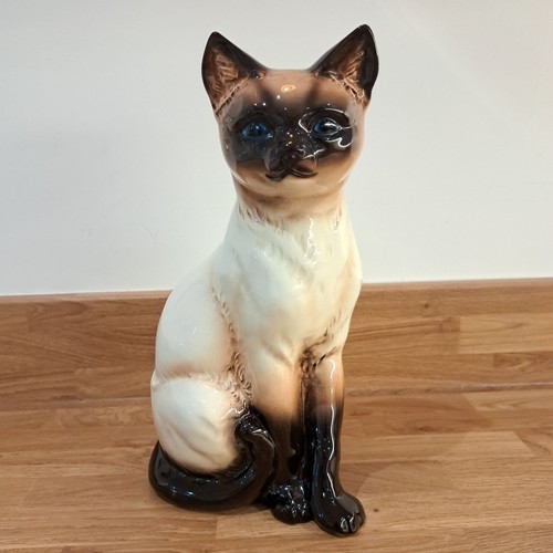 Goebel sitting siamese cat - sitting,