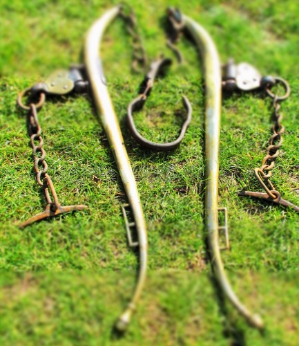 Shire horse hames pair - hames, brass