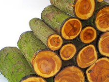 One Green English Yew wood turning or carving log blank.  300mm (12") long.