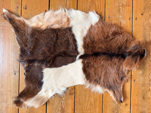Vintage goat pelt hide fur - goat,