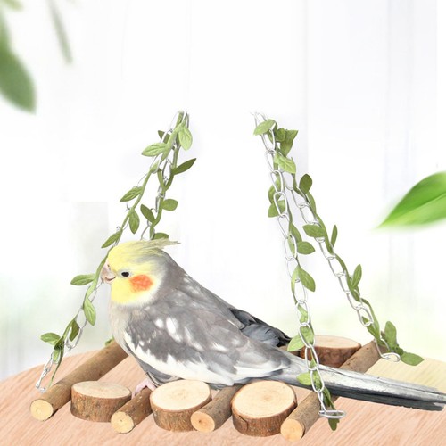 Parrots playground bird - playground,