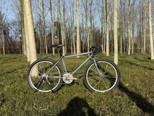 1993 Diamond Back Axis - Size