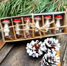 Set 6 Glass Red White Fly