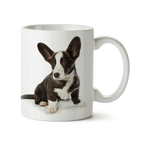 Cardigan welsh corgi mug - corgi,