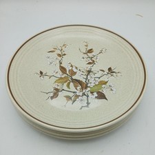 Royal Doulton Wild Cherry Dinner Plates X 4 Retro 26cm 1038 Lambethware