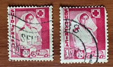 South Africa 1941 WW2. Nurse