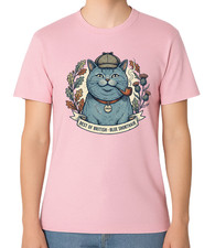 British Blue Shorthair Cat