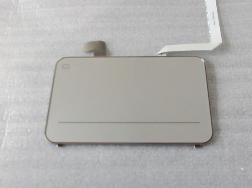 Envy genuine laptop - x2,