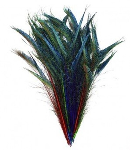Zucker feather 10 bright - -,