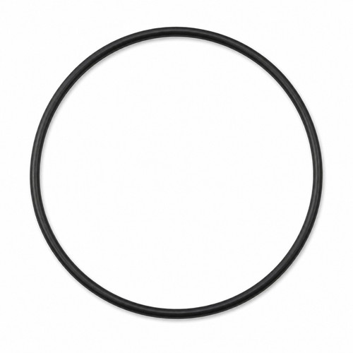 Watch bezel ring - watch, gasket