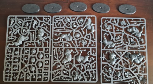 Age sigmar darkoath - age,