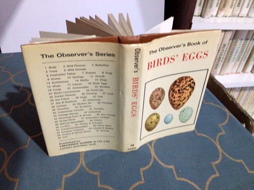 Observers book birds - birds, eggs