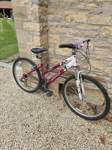 Ladies purple raleigh venture - purple,