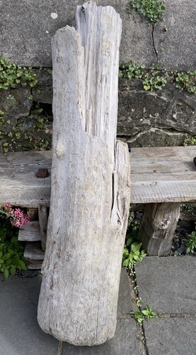Large driftwood piece ideal - large,