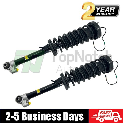 Rear coil spring shock - rear,